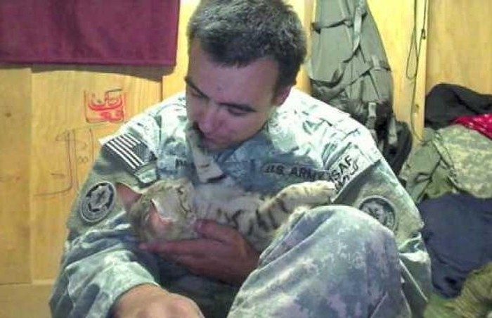 Soldier Saves Afghan Cat: ‘He Was My Saving Grace’