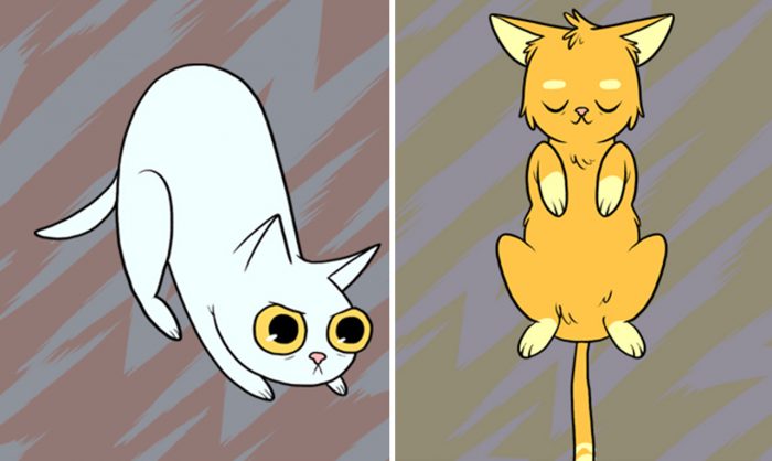 The Shocking Truth Behind Some Common Cat Behaviors
