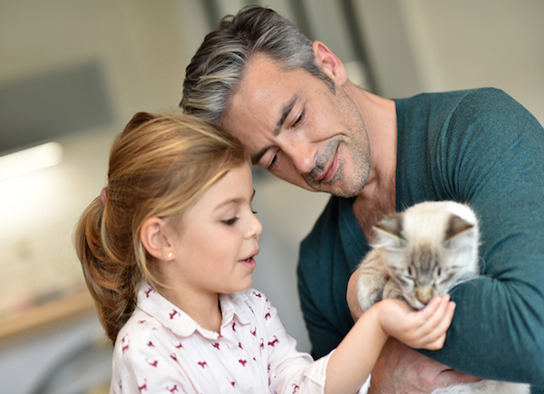 6 Ways You Can Tell Your Cat is Part of the Family