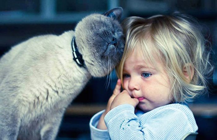 14 Cute Photos Showing Why Your Kids Need A Cat