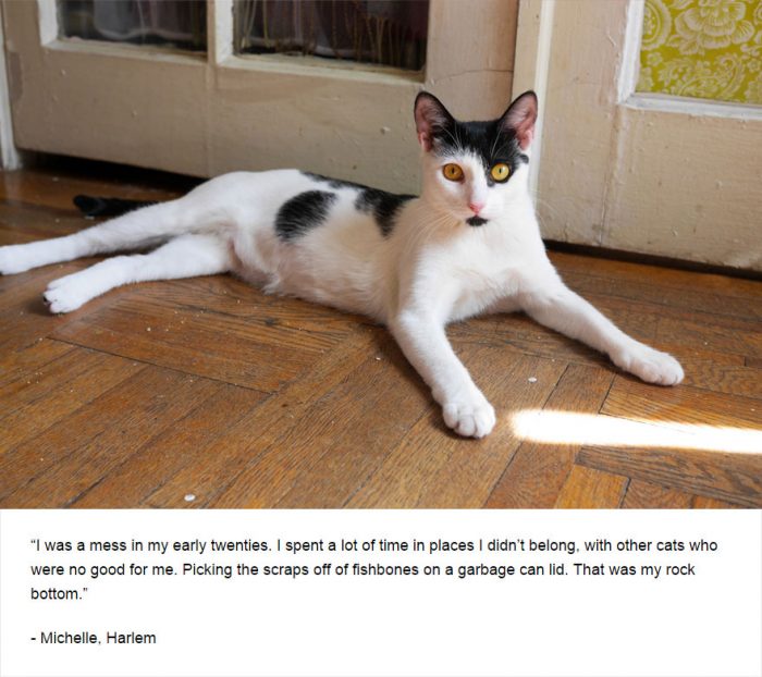 Cats of New York Reveal Their Deepest Secrets