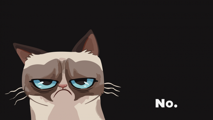 Some Of The Best Grumpy Cat Memes On The Internet