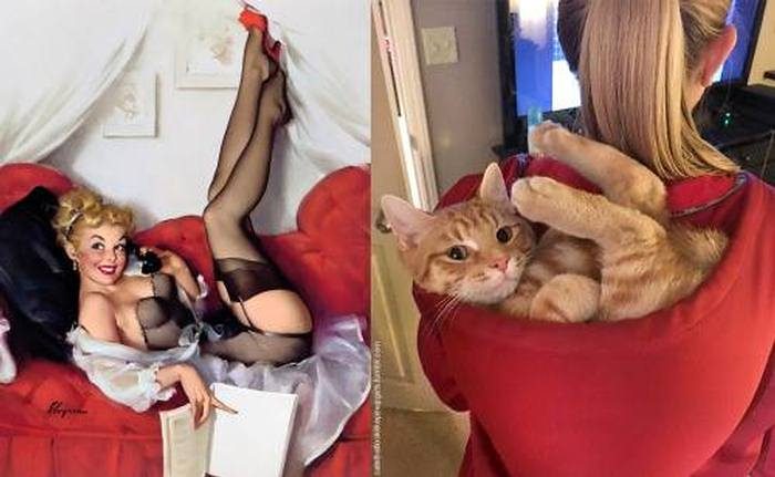 These 14 Funny Cats Pose Better Than Models