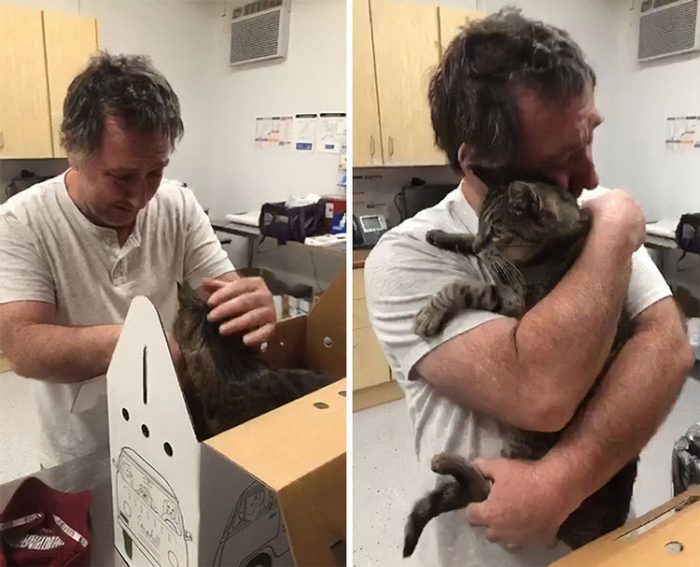 Emotional Moments Of Owners Being Reunited With Their Cats After Years Being Gone