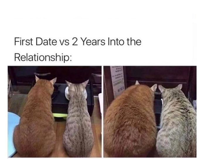 Celebrate Valentine’s Day With 22 Funny Cat Memes That Sum Up Relationships