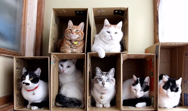 A Box For Each