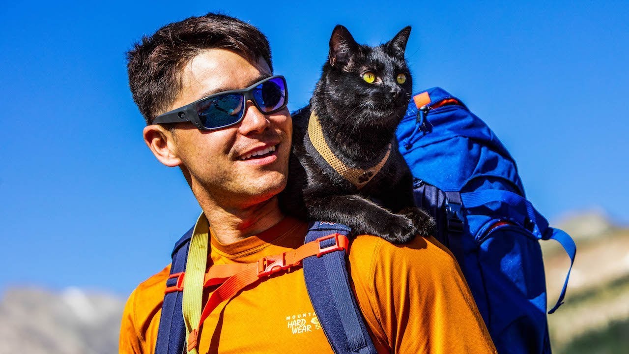 Simon, the cat that love adventures in nature