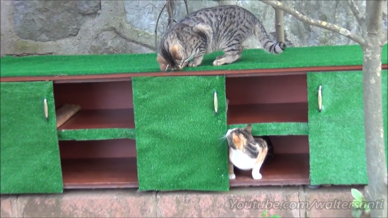 Building an awesome cat house from an old shoe cabinet