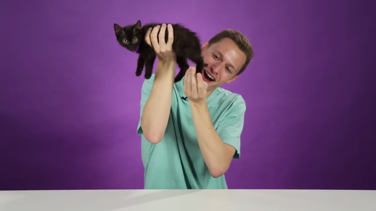These People Hold Kittens For The First Time