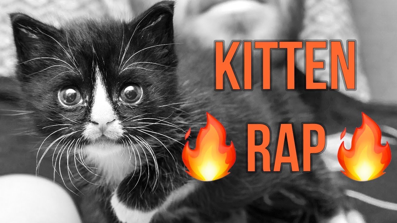 Kitten Lady Rap feat. Badger
