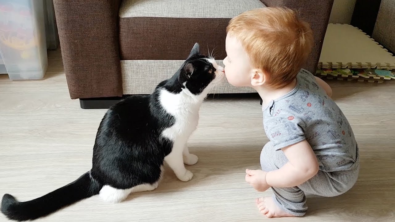 Little baby loves kitty