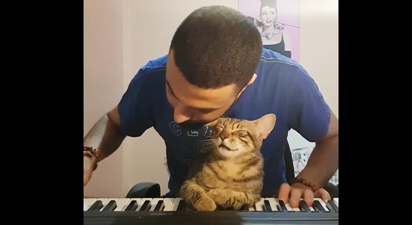 Cat Enjoys Piano Music