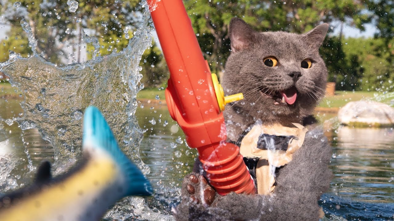 When a cat goes fishing