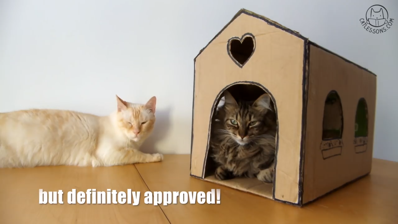 How to make a cat house from a simple box