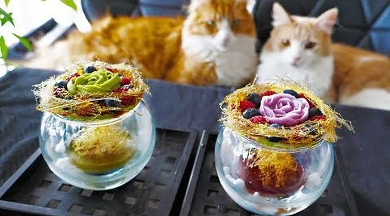 Cats and cooking - Homemade Yogurt