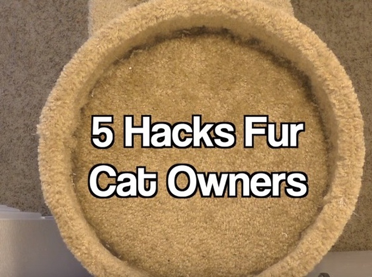 5 Hacks Fur Cat Owners