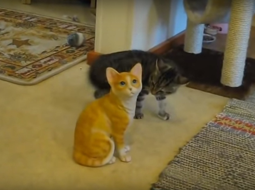 Kitten savagely attacks ceramic cat