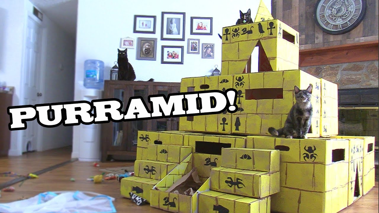 A cardboard pyramid for cats