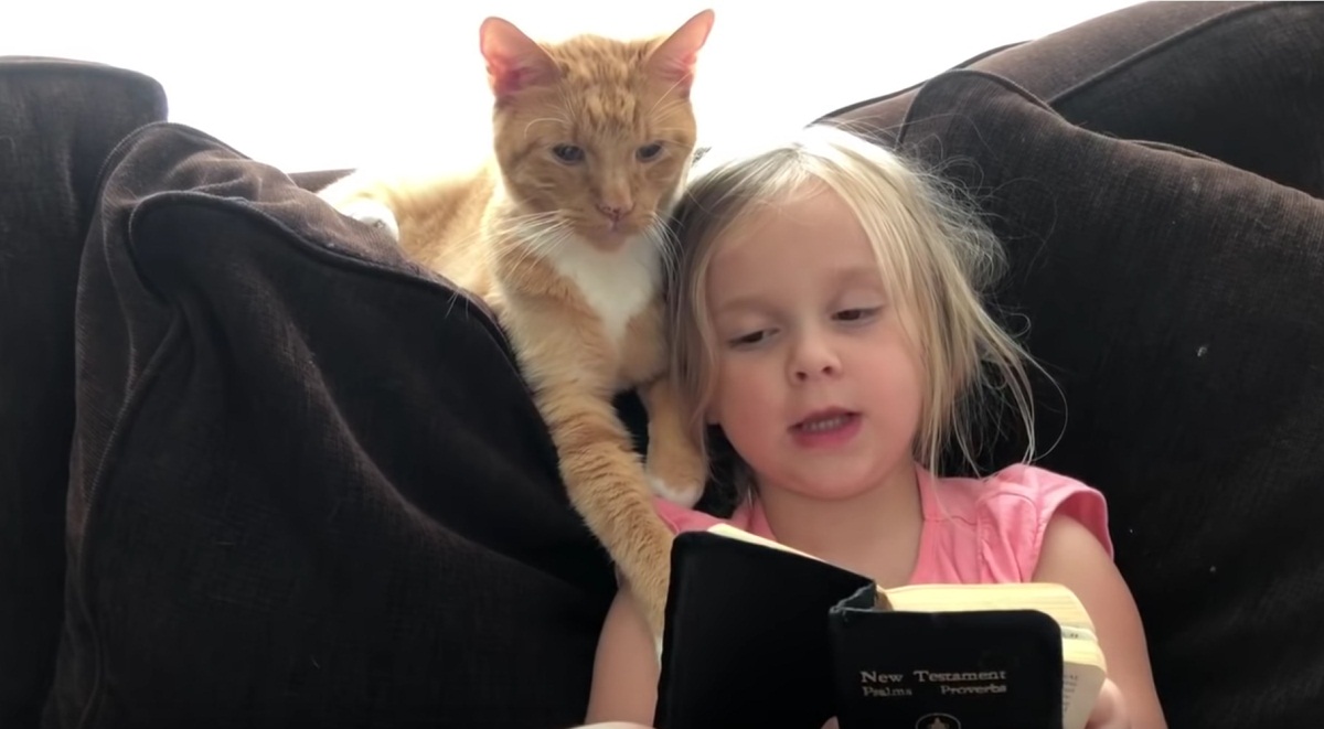 Cute Girl Reads Something To Cat