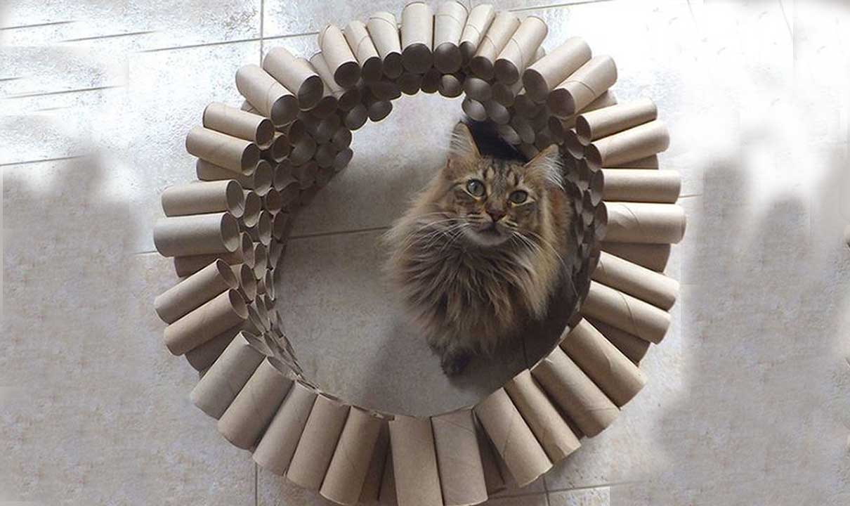 Making a DIY mega cat puzzle toy