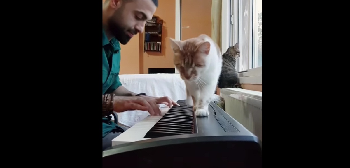 Playing Piano For His Blind Cat