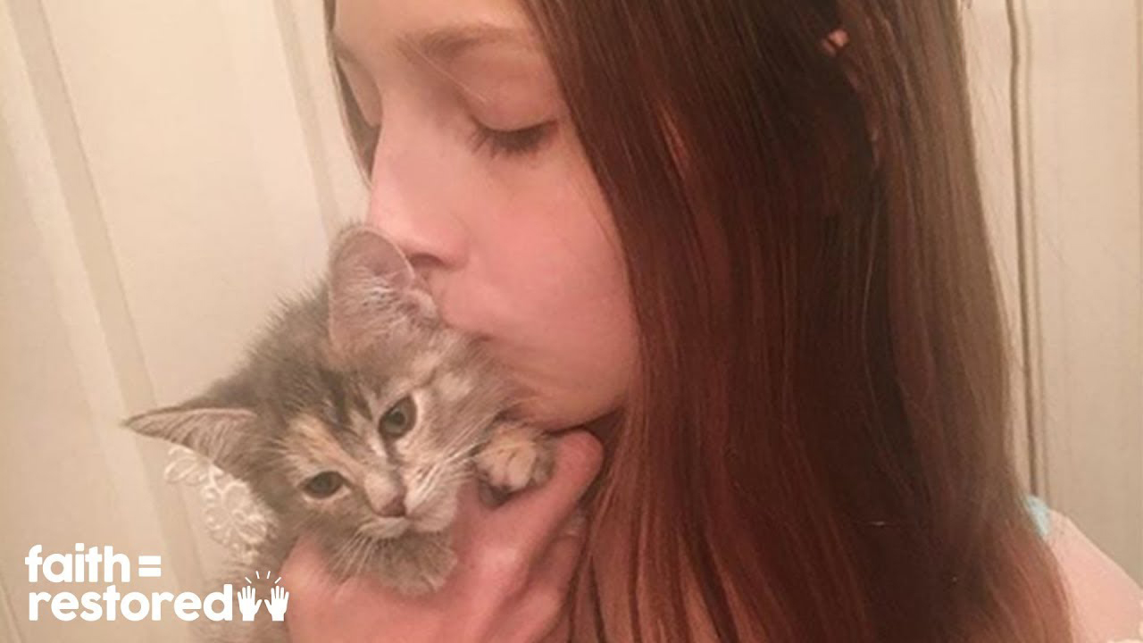 12-year-old girl dedicates all her free time fostering kittens