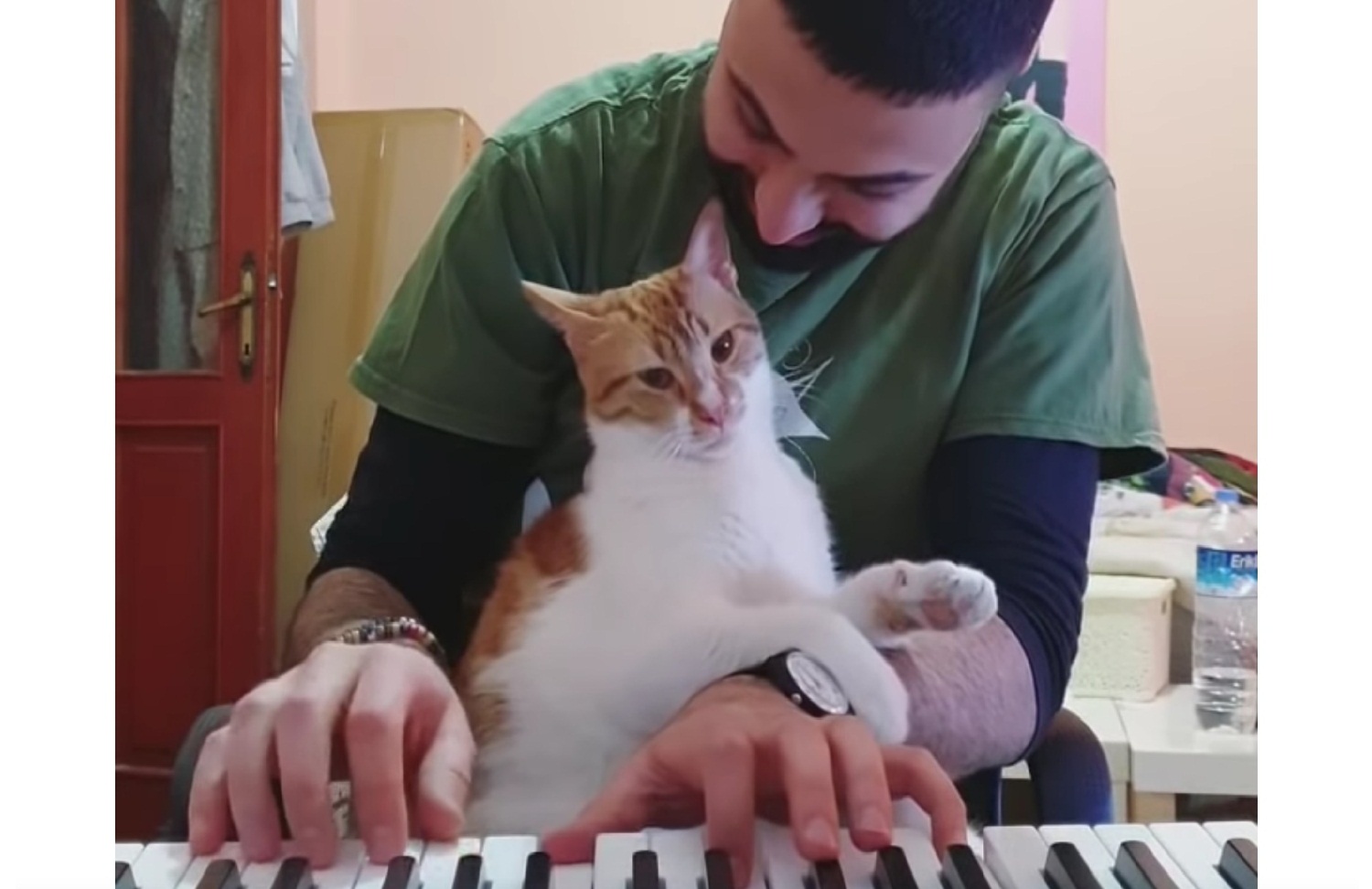 Kitty Loves Piano 