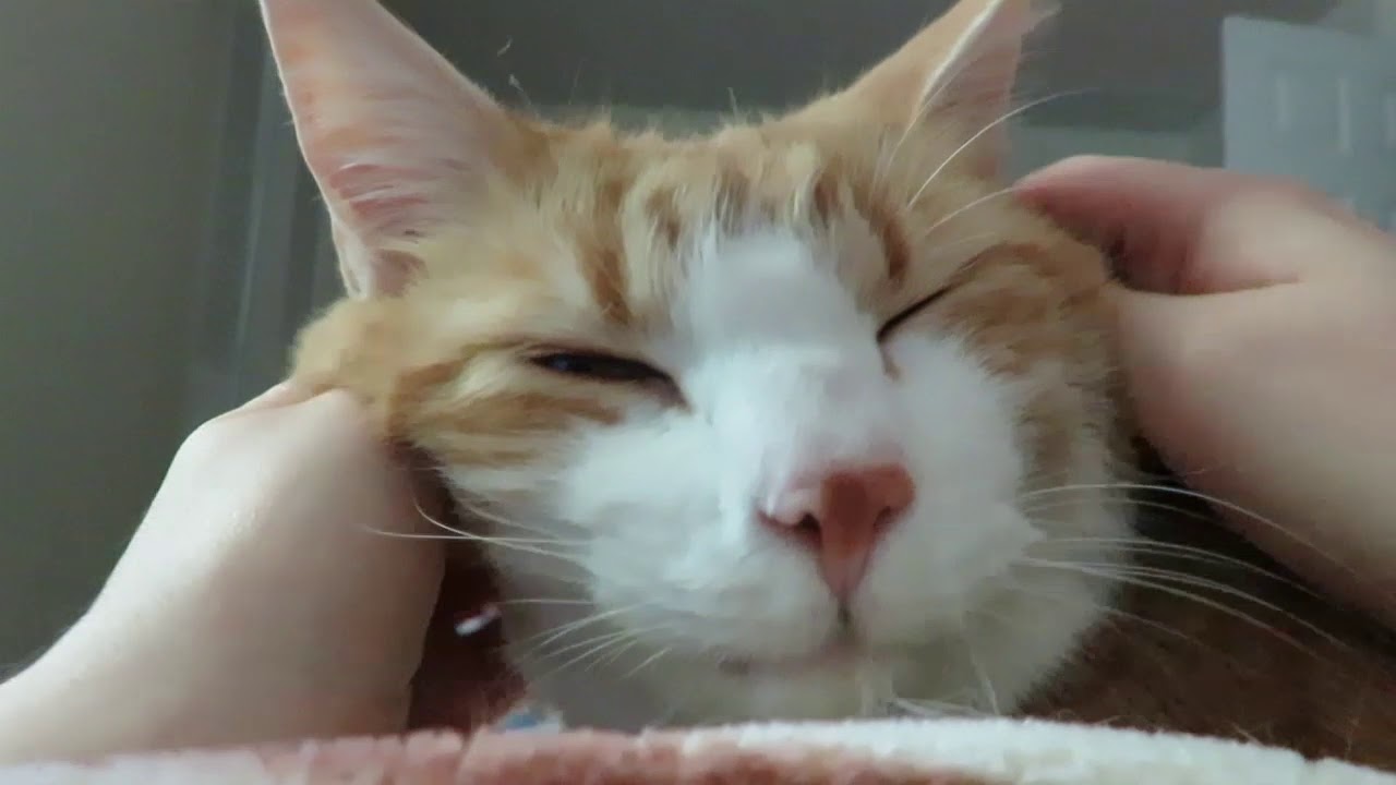 Butters Loves Face Rubs