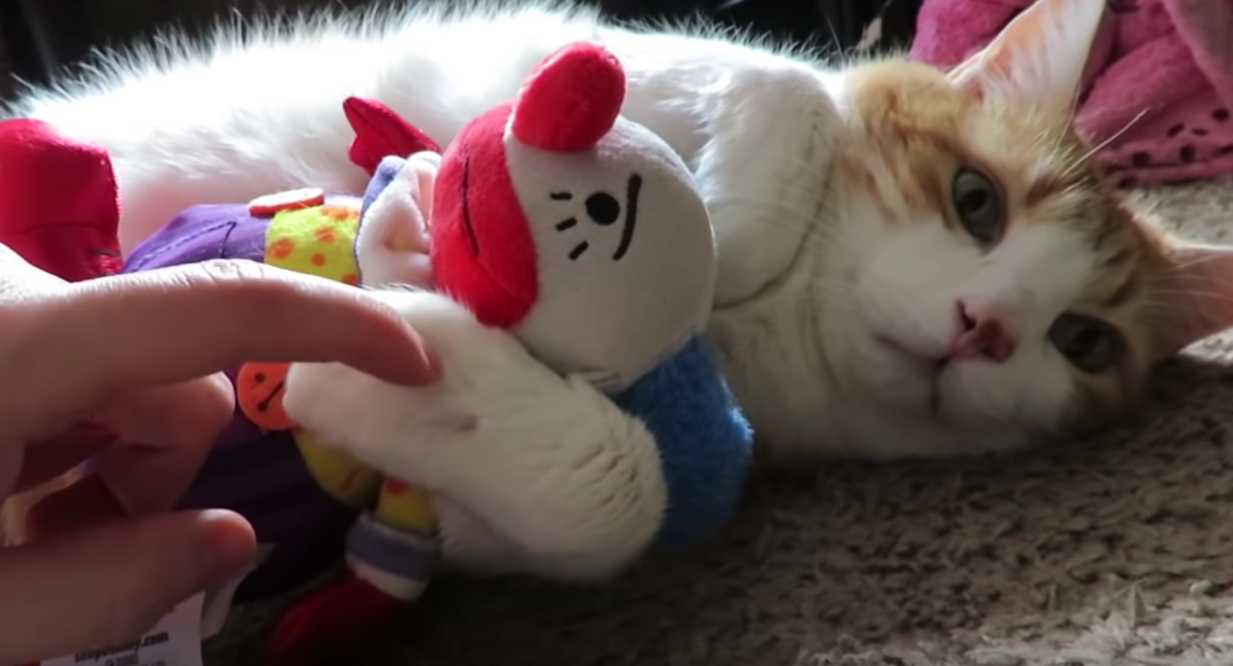 Butters Cuddling With Toy