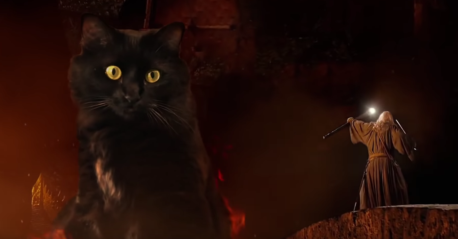 Lord Of The Rings Cat Parody