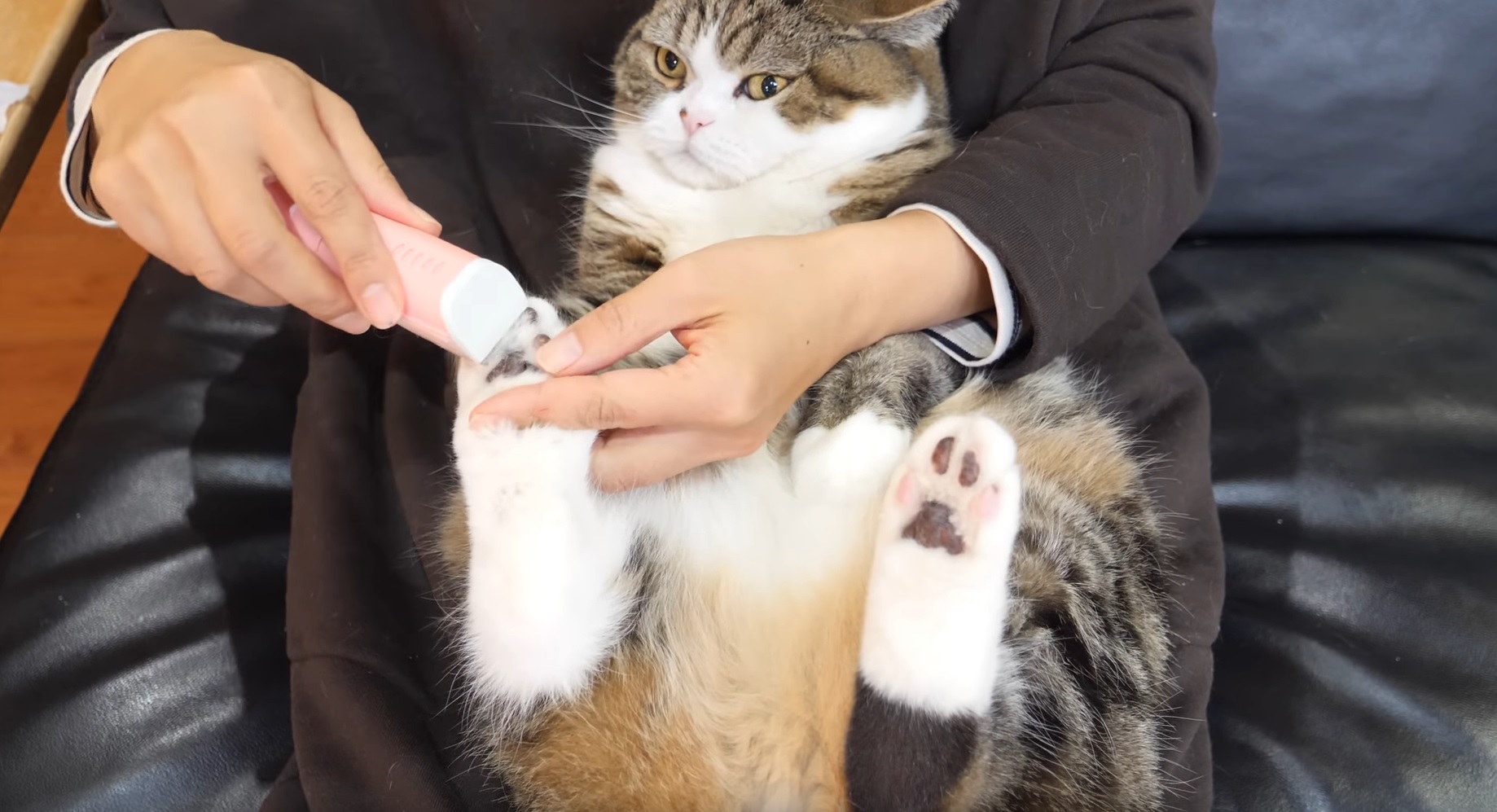 Maru's Care