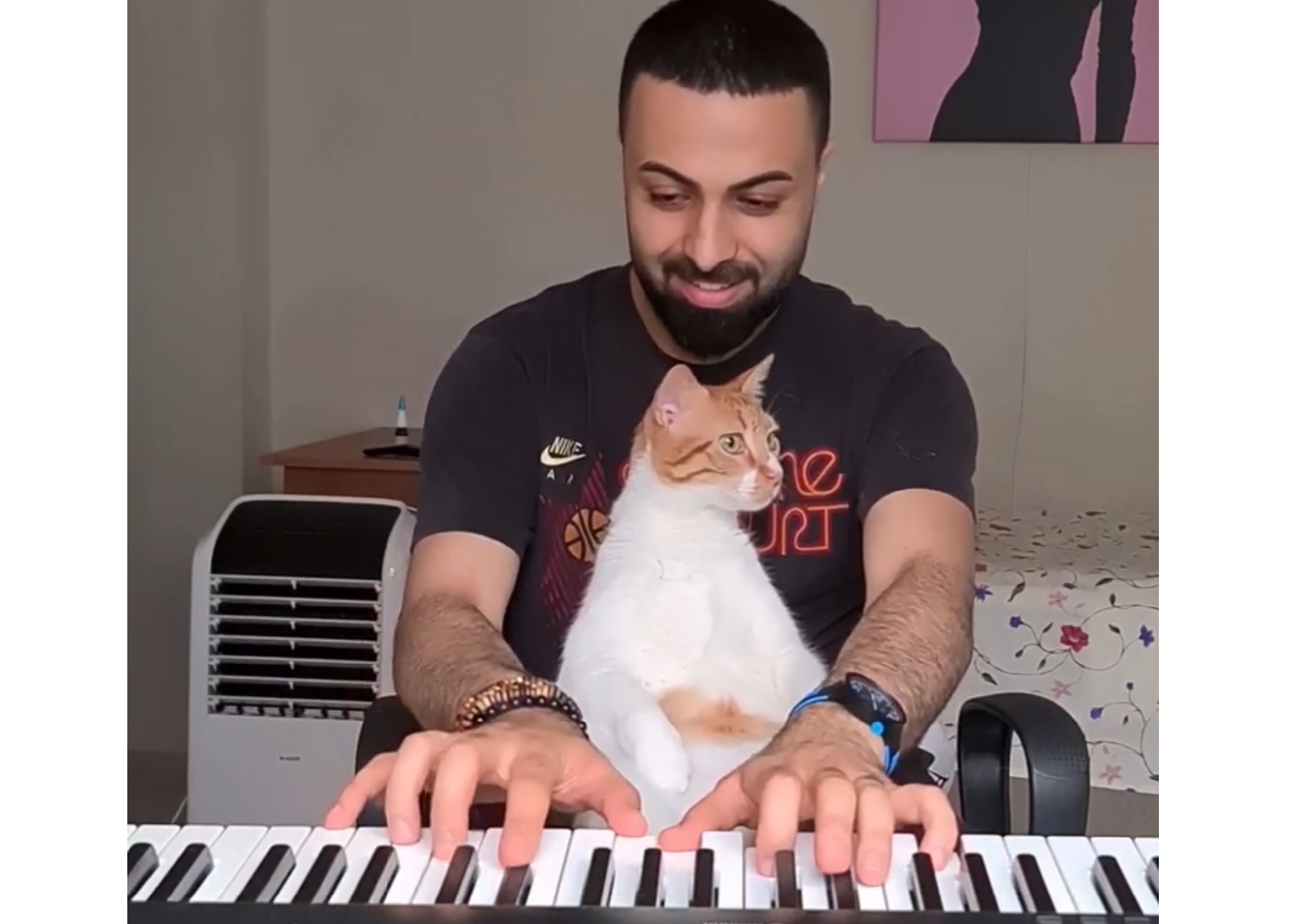 Playing Piano While Kitty Watching Birds