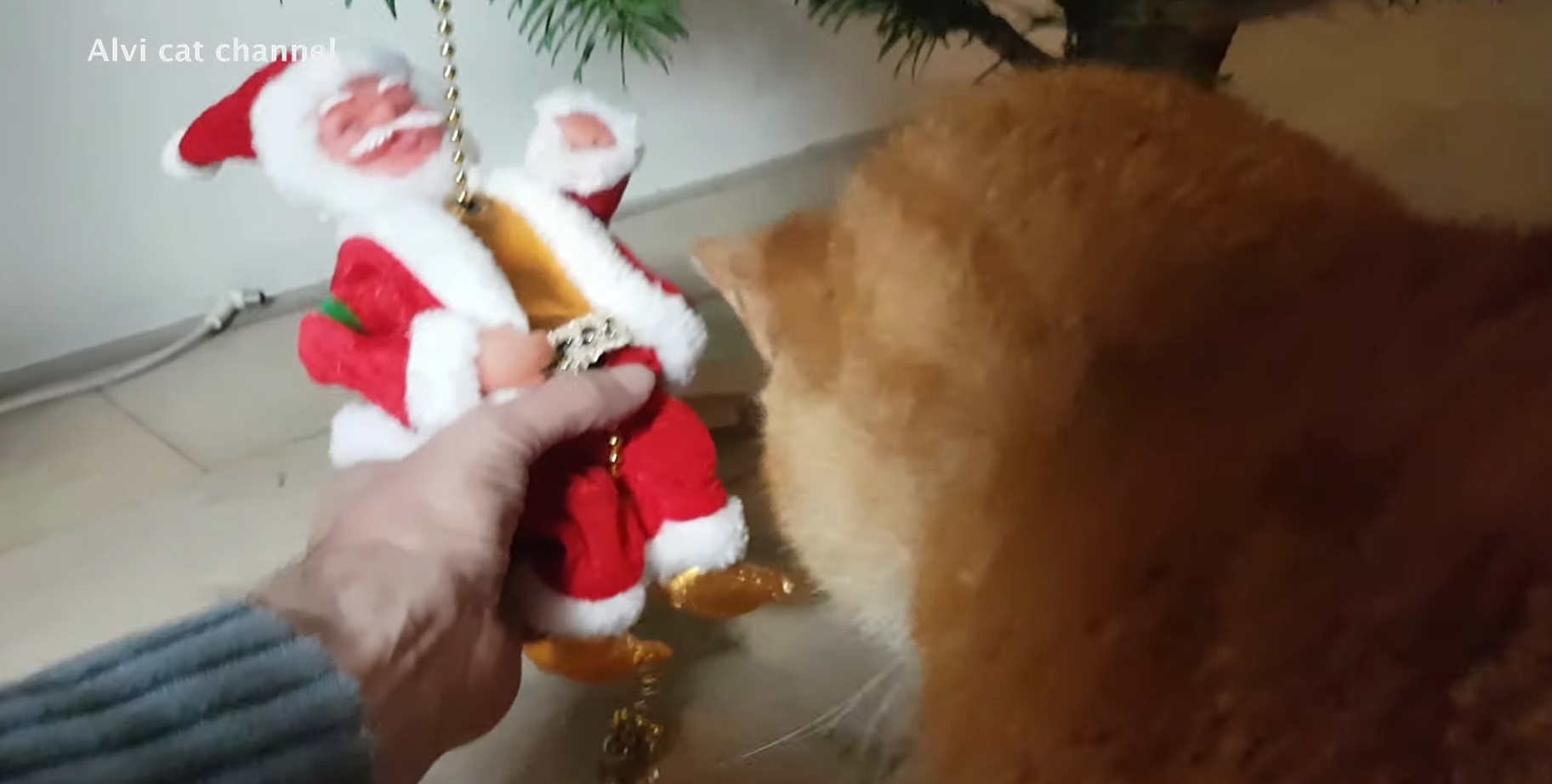 Alvi Reacting To Santa Toy And Tree