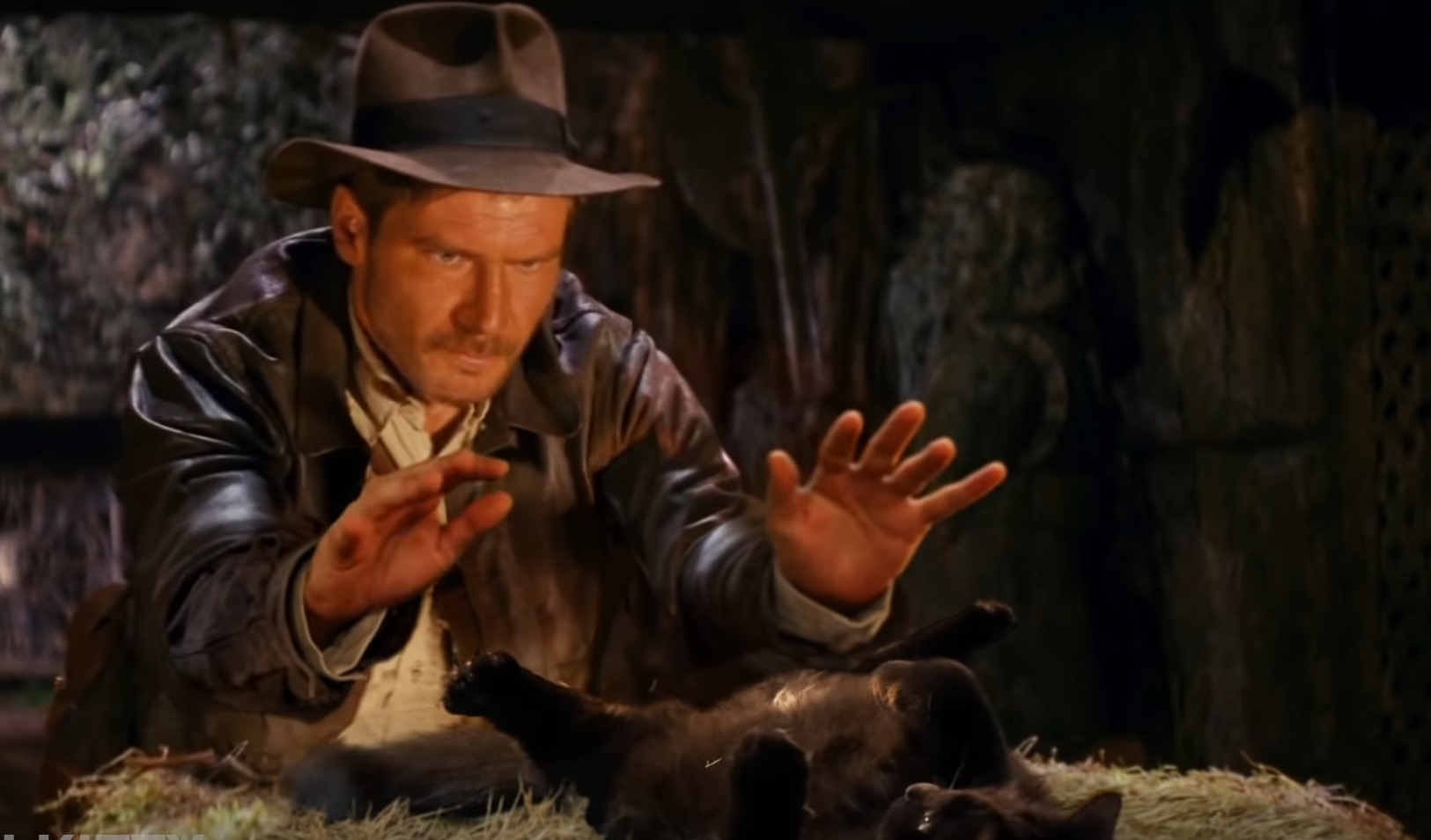Indiana Jones With Owlkitty