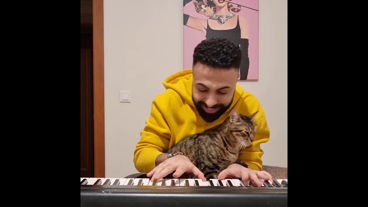 Playing The Piano With Purrfect Company