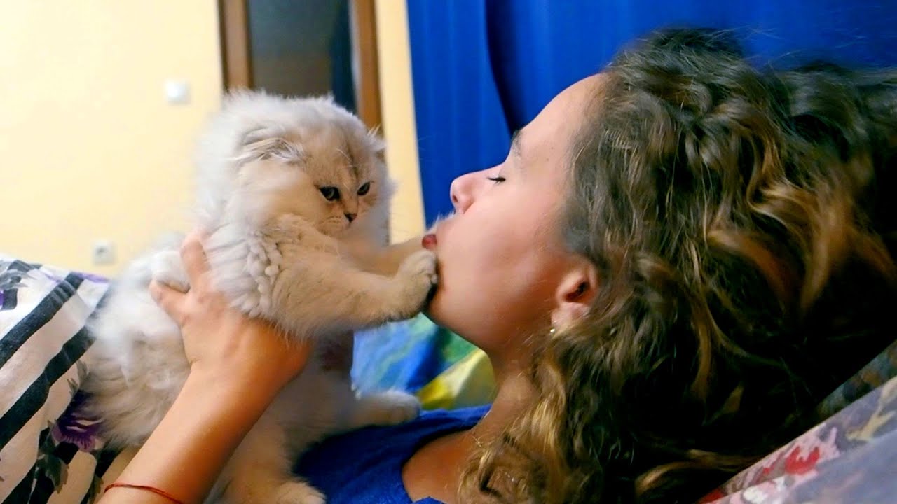 Kitten Refusing Kisses
