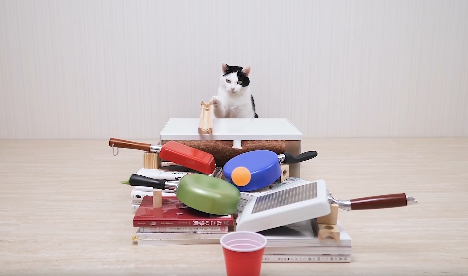 Cats And Ping Pong Tricks