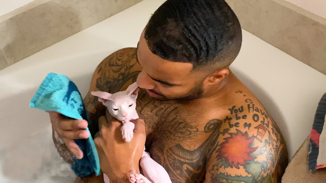 Cat dad figured out how to bathe his hairless kitten