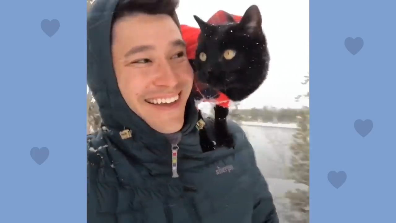 Black cat and his hooman go on all sorts of adventures together