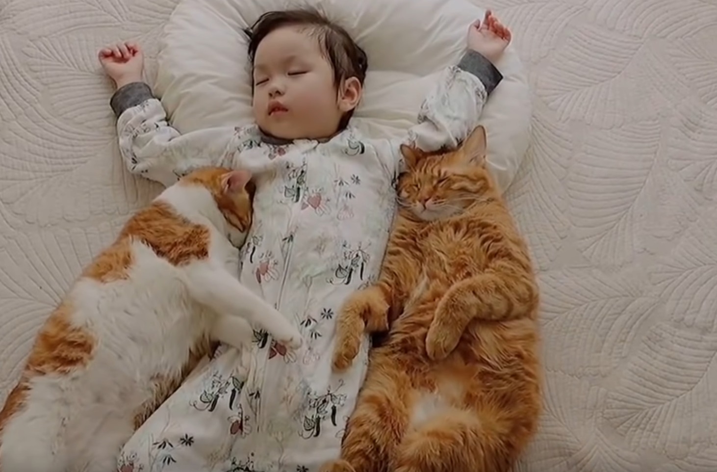 Little Girl With Her Snuggly Cats