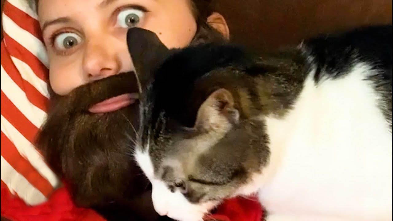 Woman buys fake beard to make her cat love her as much as her husband