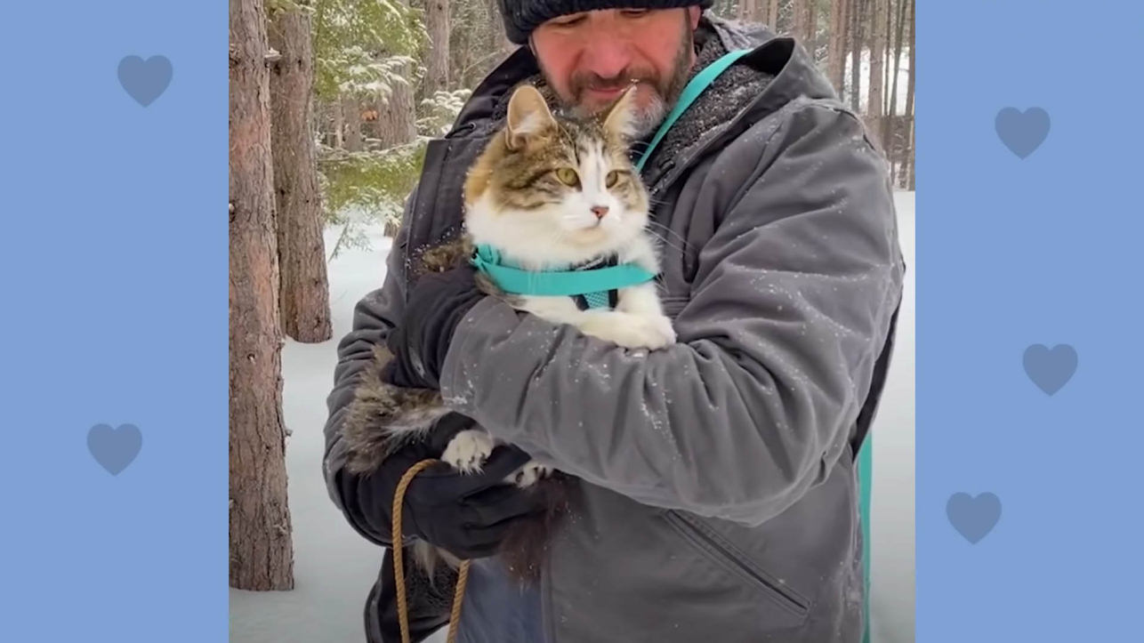 'Dog Person' Dad becomes a Cat Dad when he meets Leo