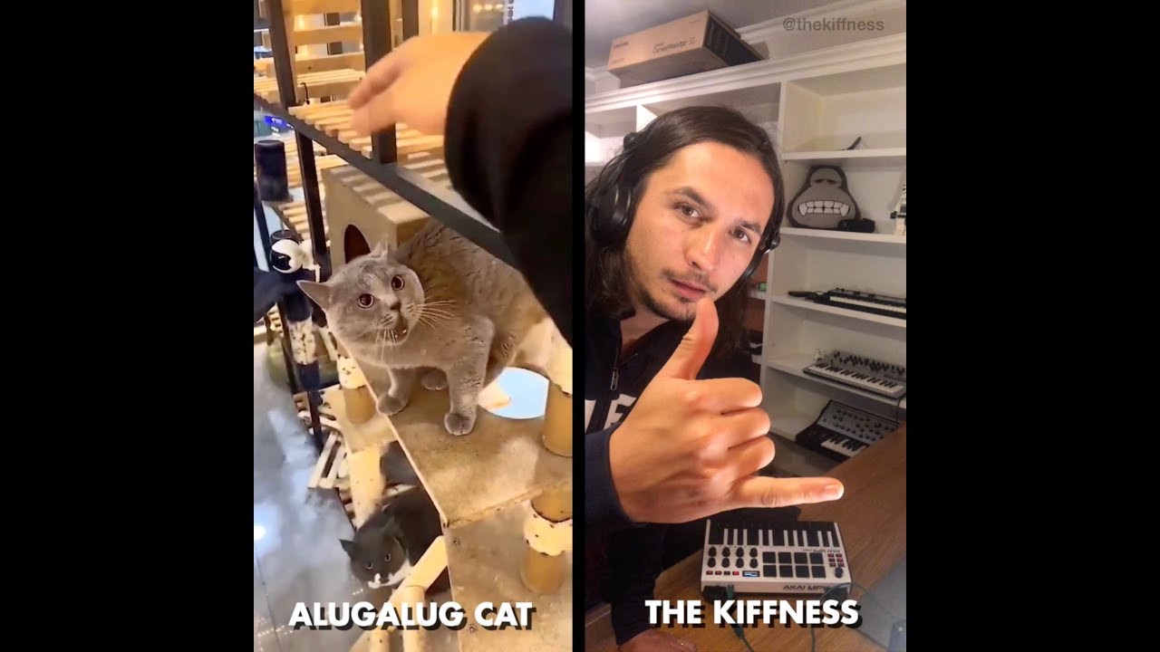 Alugalug Cat X The Kiffnes - Alugalug Song - Worldwide Hit Song