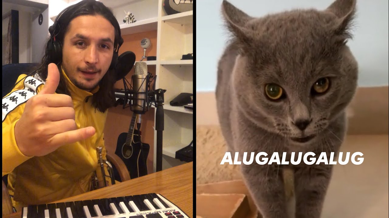 The Kiffness X Alugalug Cat - Please Go Away (International hit)