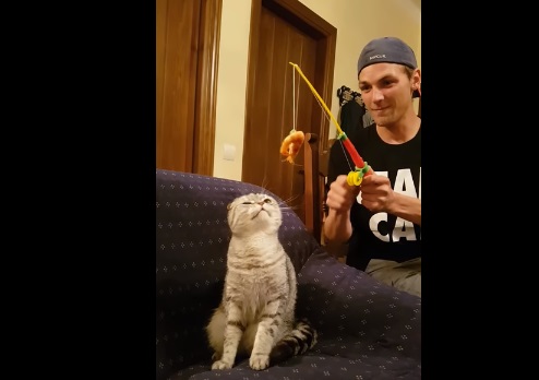 Guy Lures Cat With Shrimp On Fishing Toy
