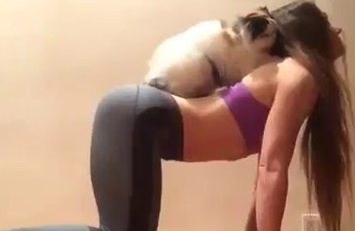 Yoga Cat Helps With Pose 