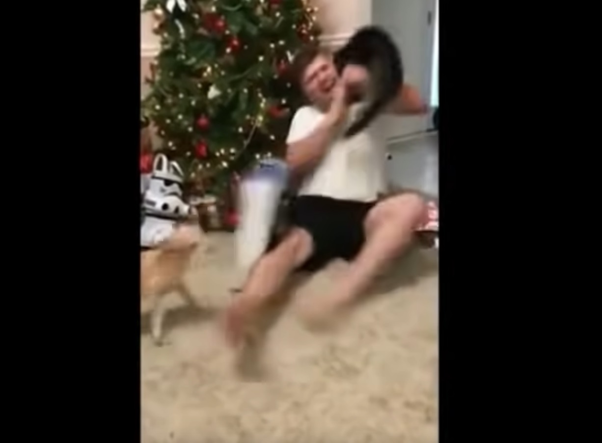 Man Gets Attacked By Cat While Opening Christmas Present