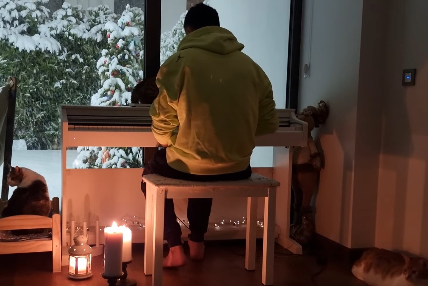 Playing Piano For His Cats On Snowy Day