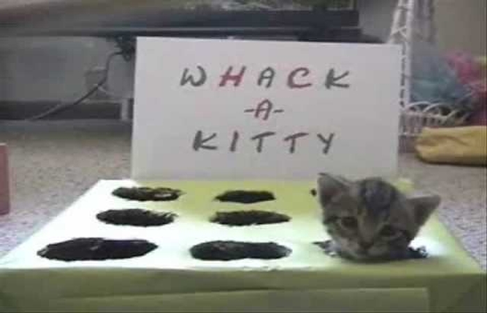 Whack-A-Kitty
