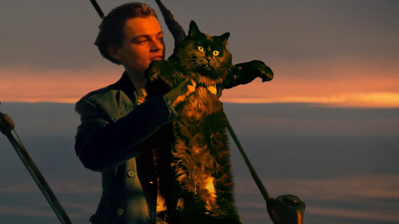 Owlkitty - Titanic With Cat